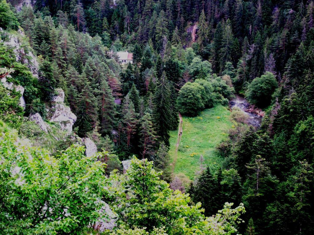 Chata Zlatka Villa Spišské Tomášovce Exterior foto